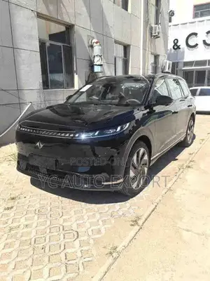 Dongfeng Yipai 008 Max 2025 Black