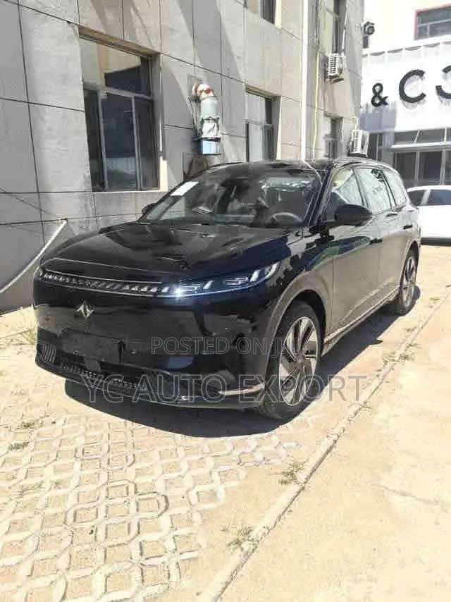 Dongfeng Yipai 008 Max 2025 Black