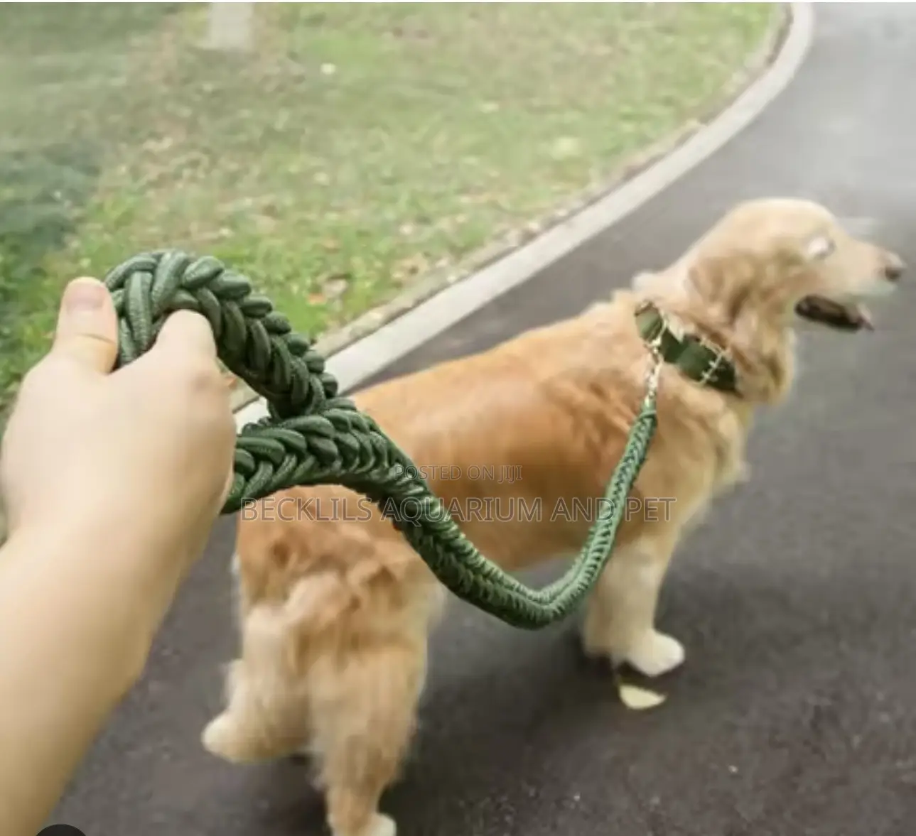 Large Dog Leash