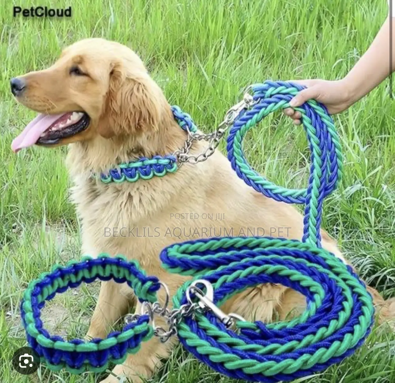 Large Dog Leash
