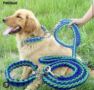 Large Dog Leash