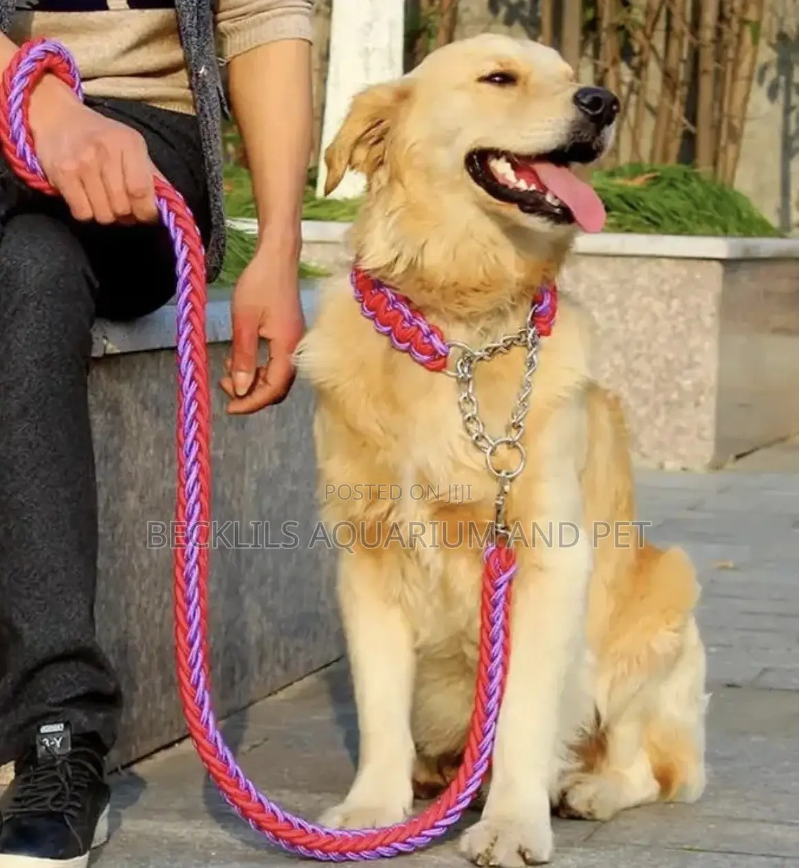 Large Dog Leash