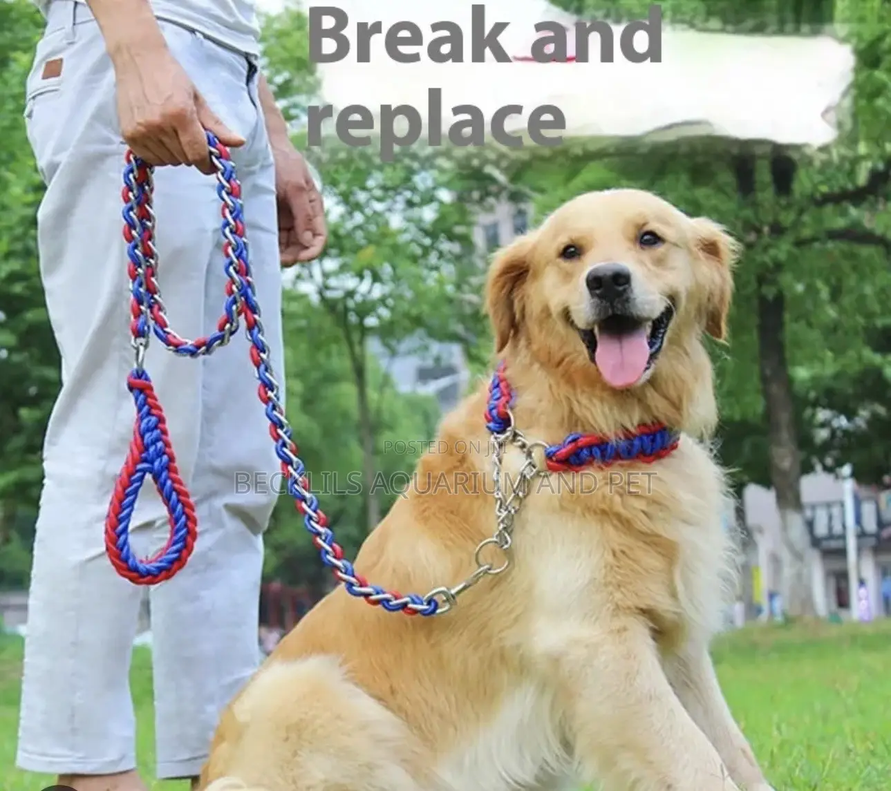 Large Dog Leash