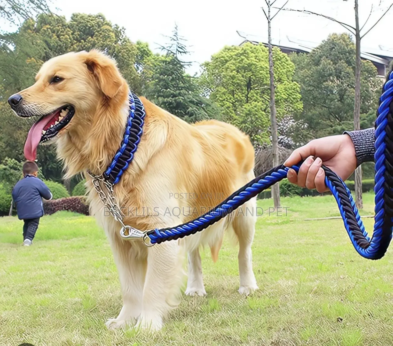 Large Dog Leash