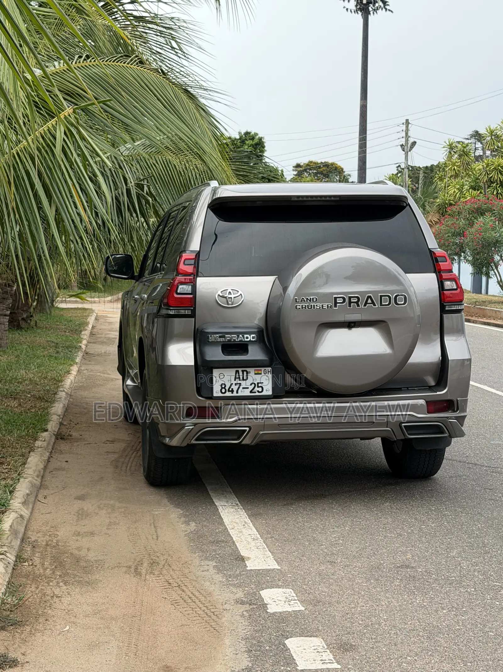 Toyota Land Cruiser Prado 2010 Brown