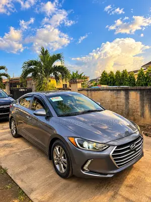 Hyundai Elantra Sport Sedan FWD (1.6L 4cyl 6M) 2017 Gray