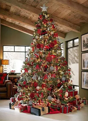 Christmas Trees and Stuffs