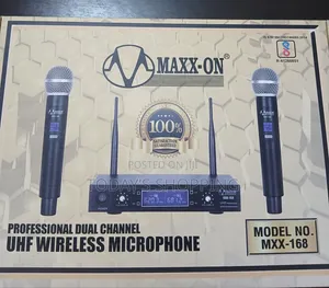 Professional Wireless Microphone