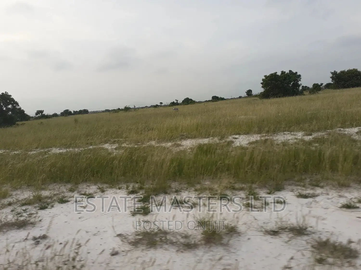 Tsopoli Litigation Free Land