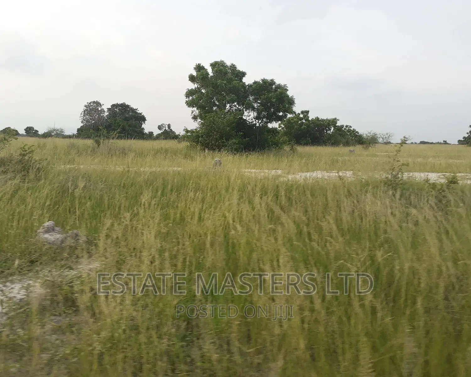 Tsopoli Litigation Free Land