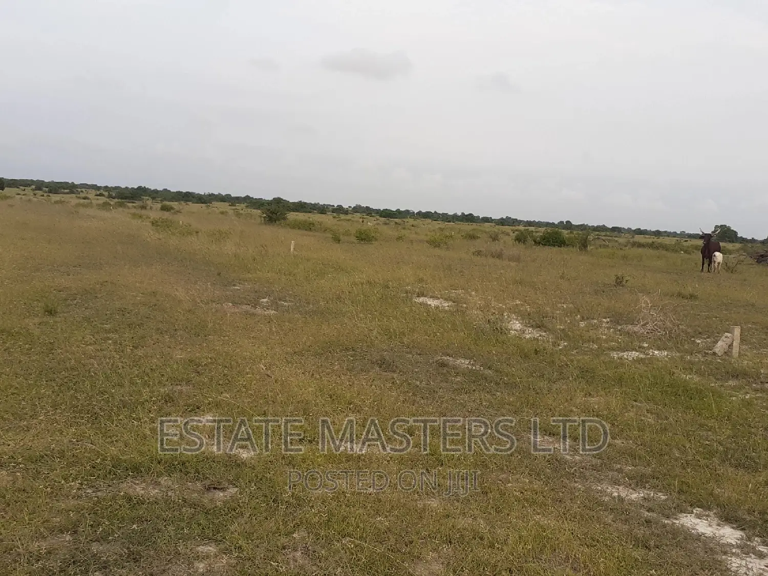 Estate Plots Plus Indenture