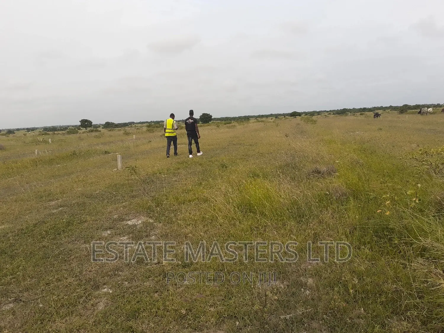 Outstanding Area Plot
