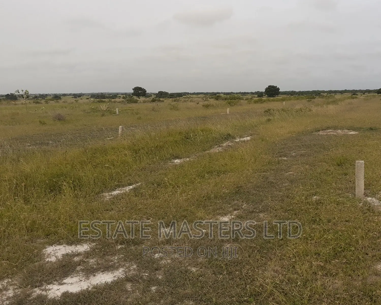 Outstanding Area Plot