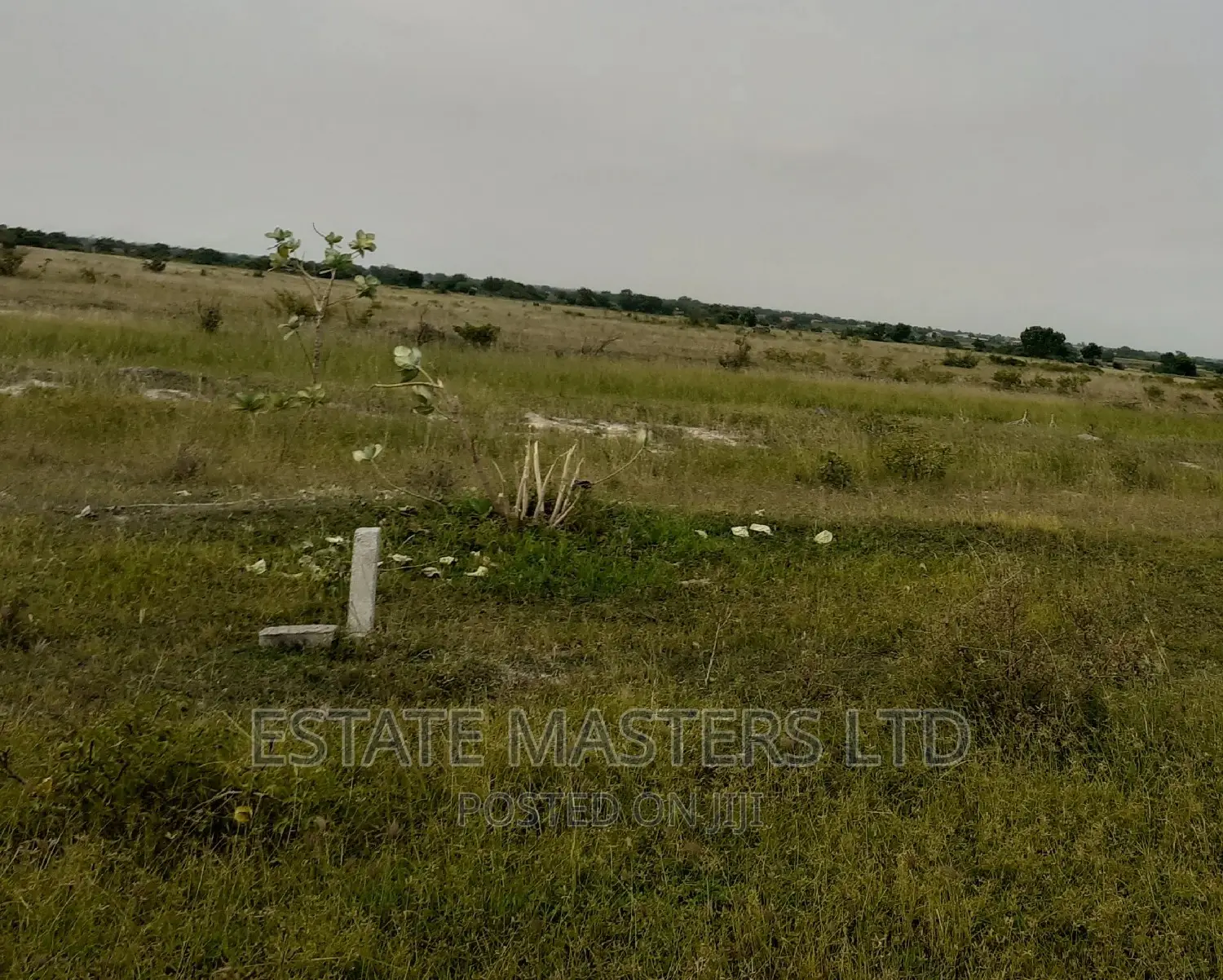 Outstanding Area Plot