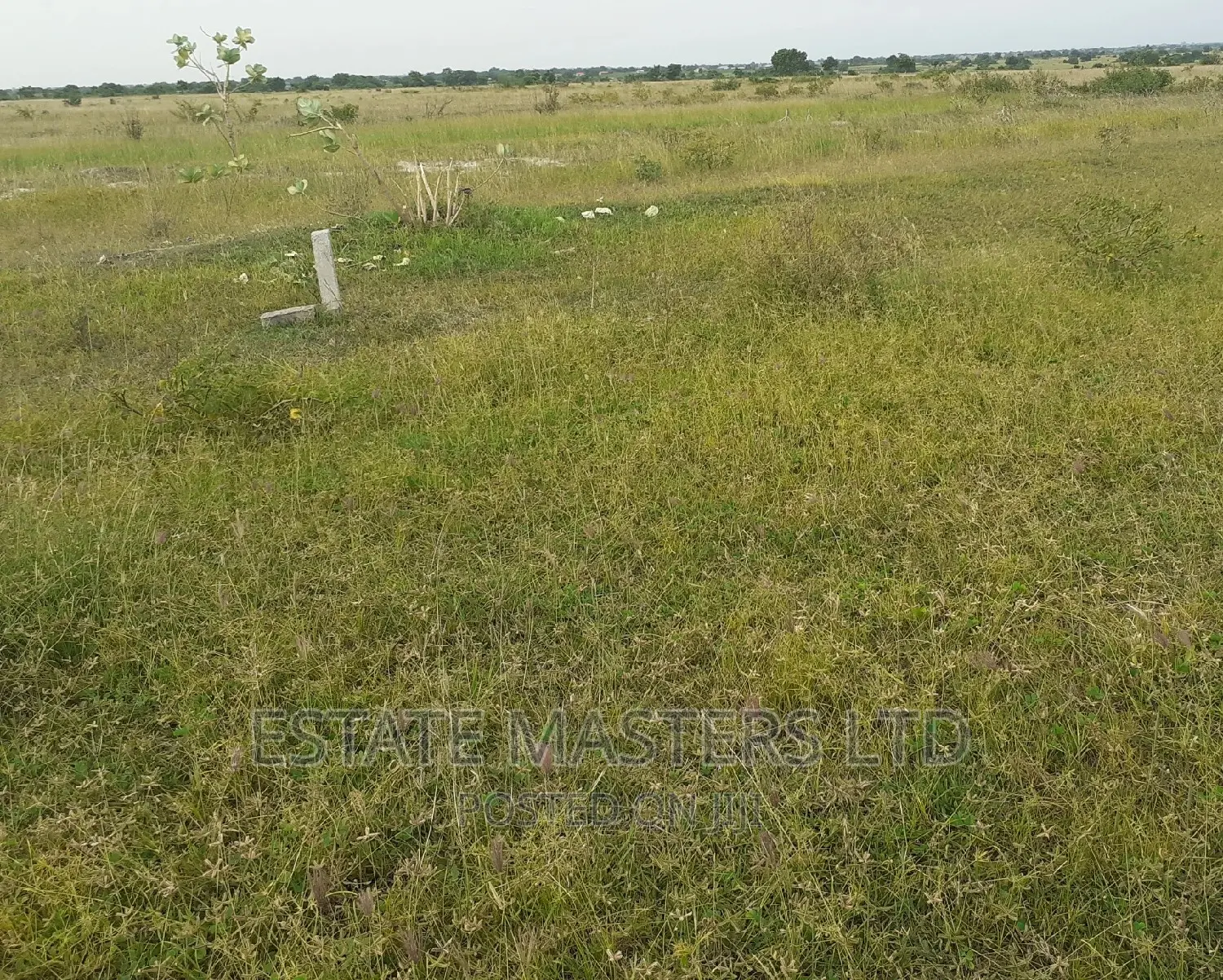 Acres of Good Area Land