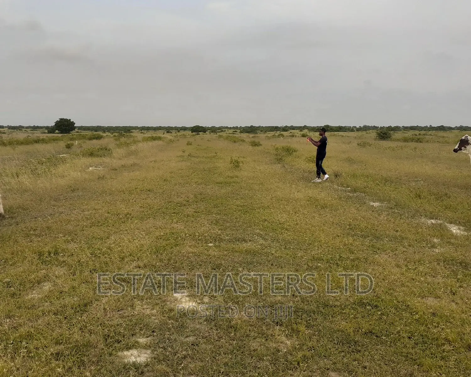 Acres of Good Area Land