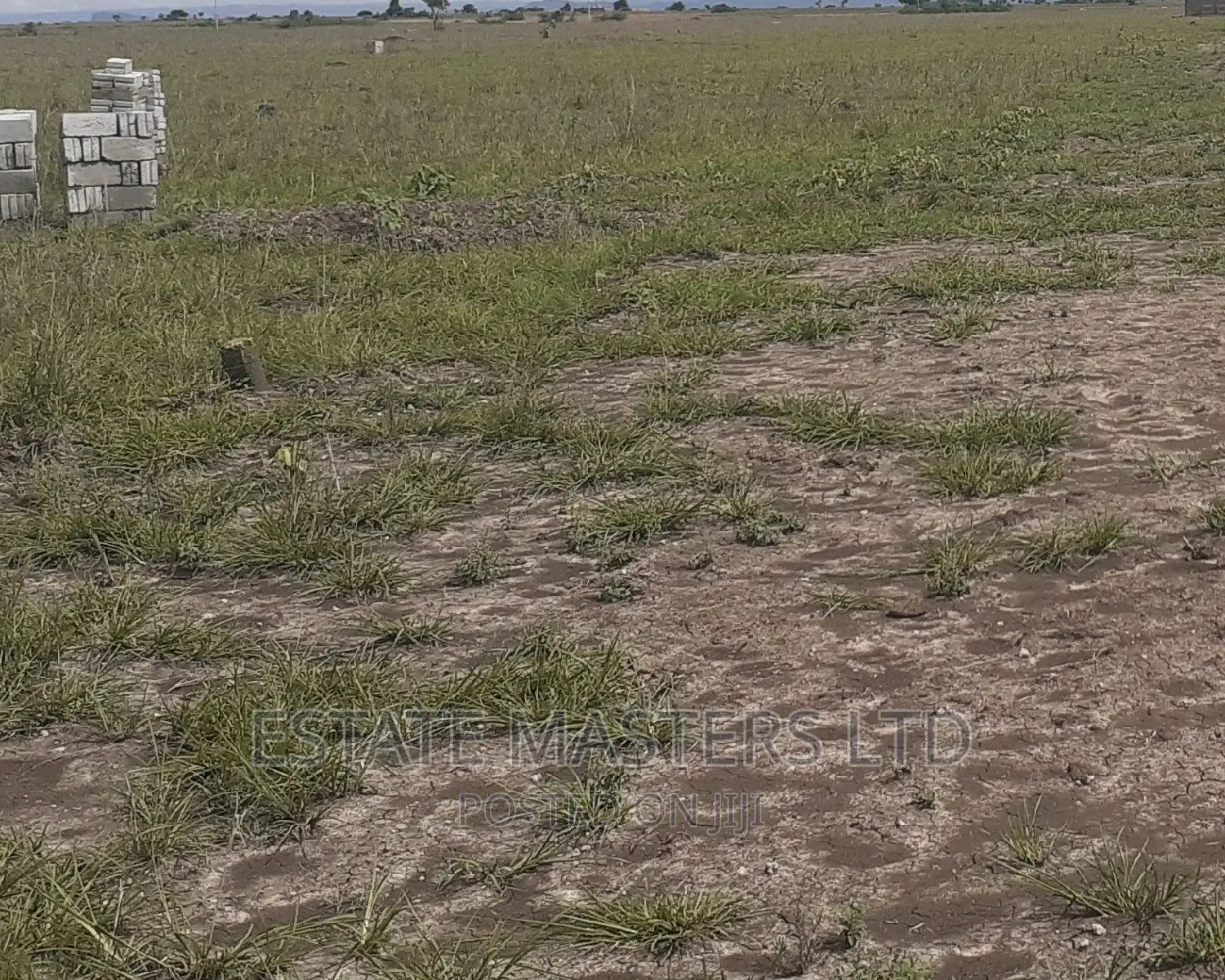Estate Plot 4 Sales