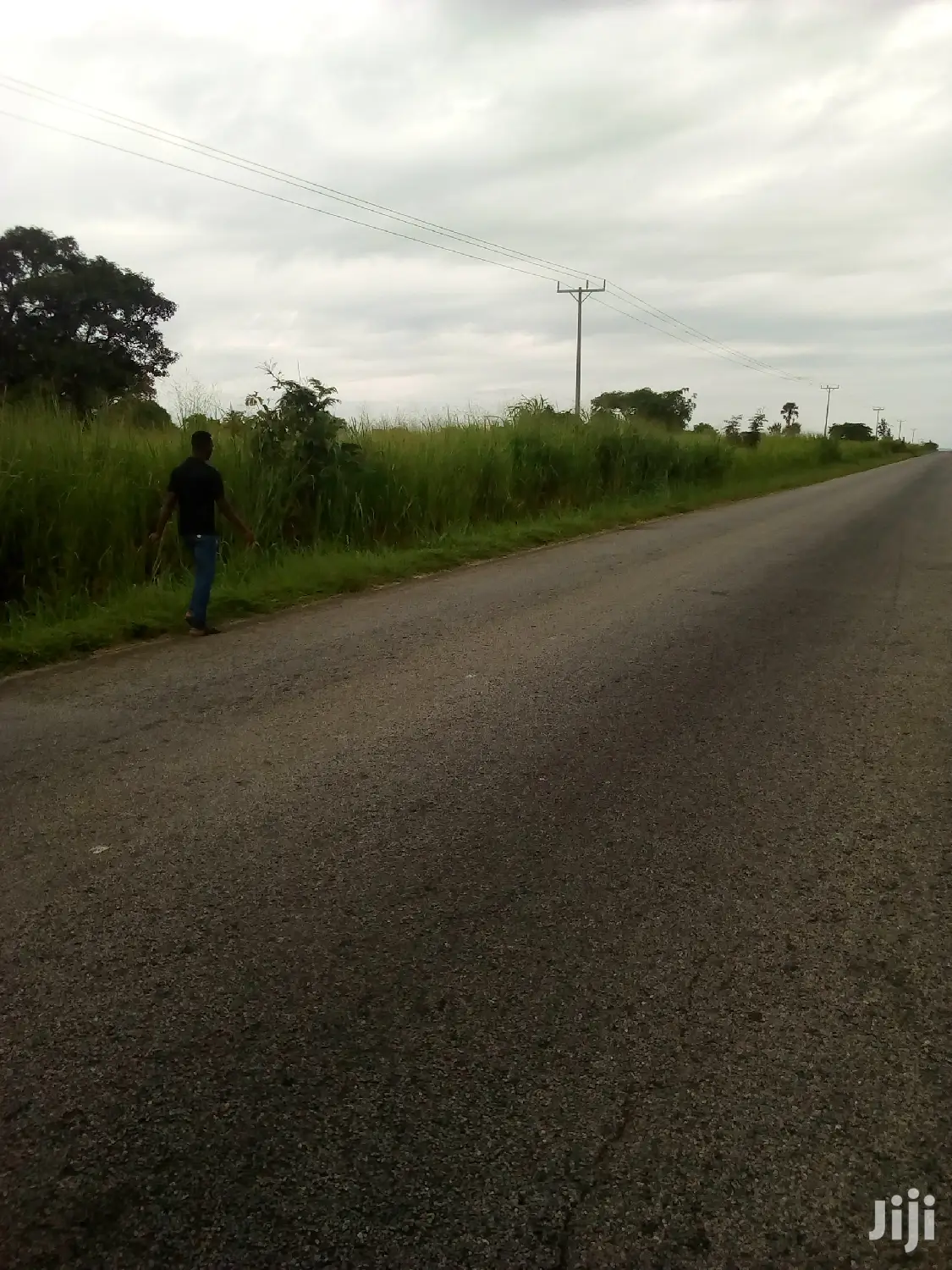 Plots of Land for Sale