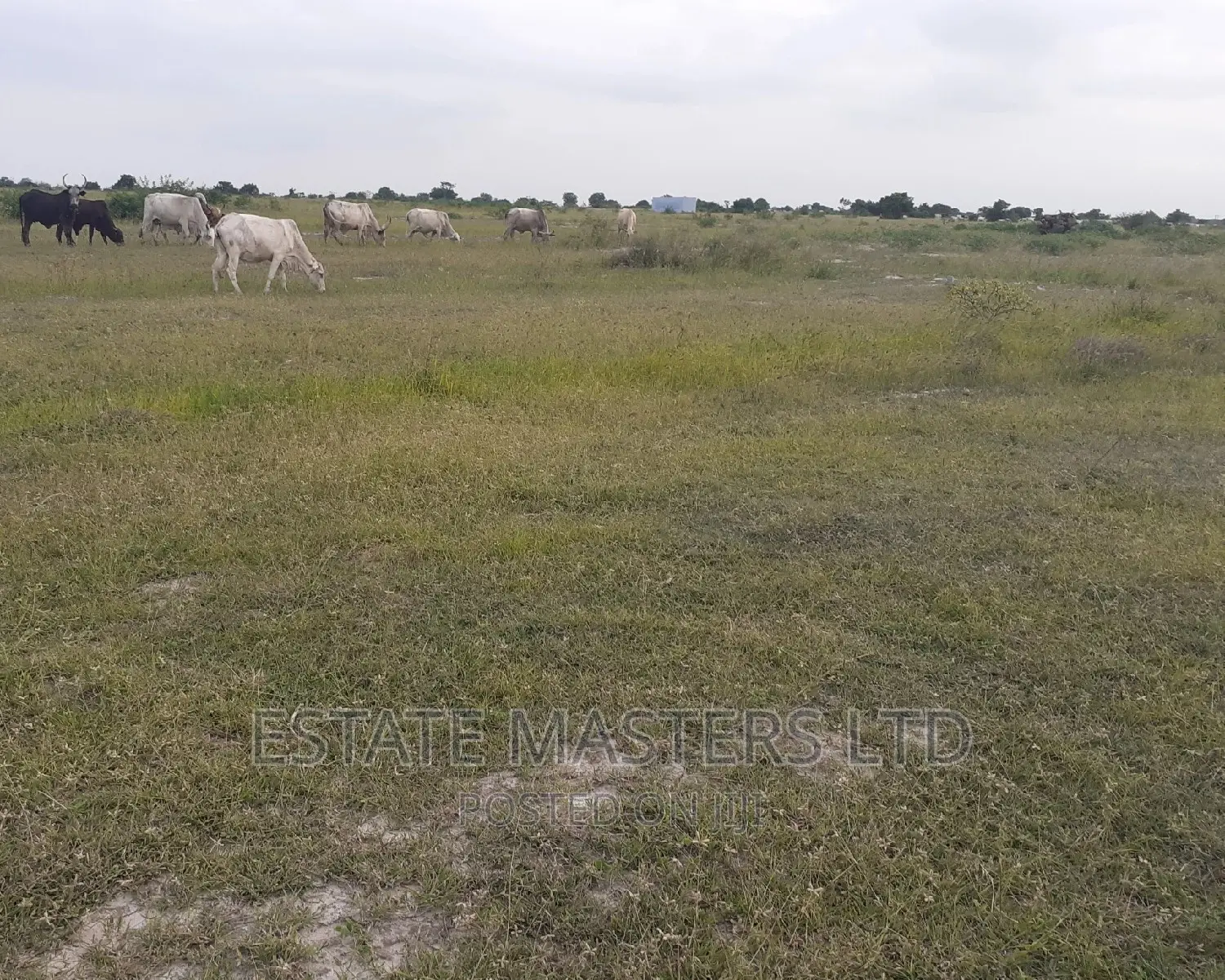Serviced Demarcated Plots