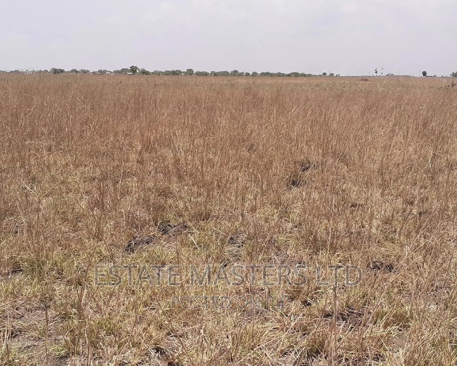 Estate Land Sale