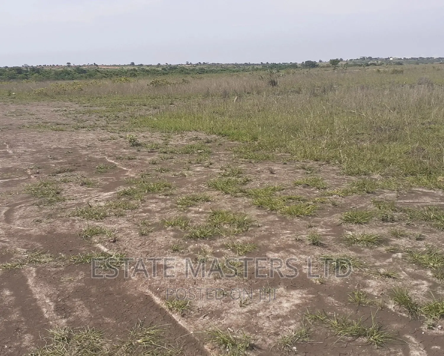 Estate Land Sale