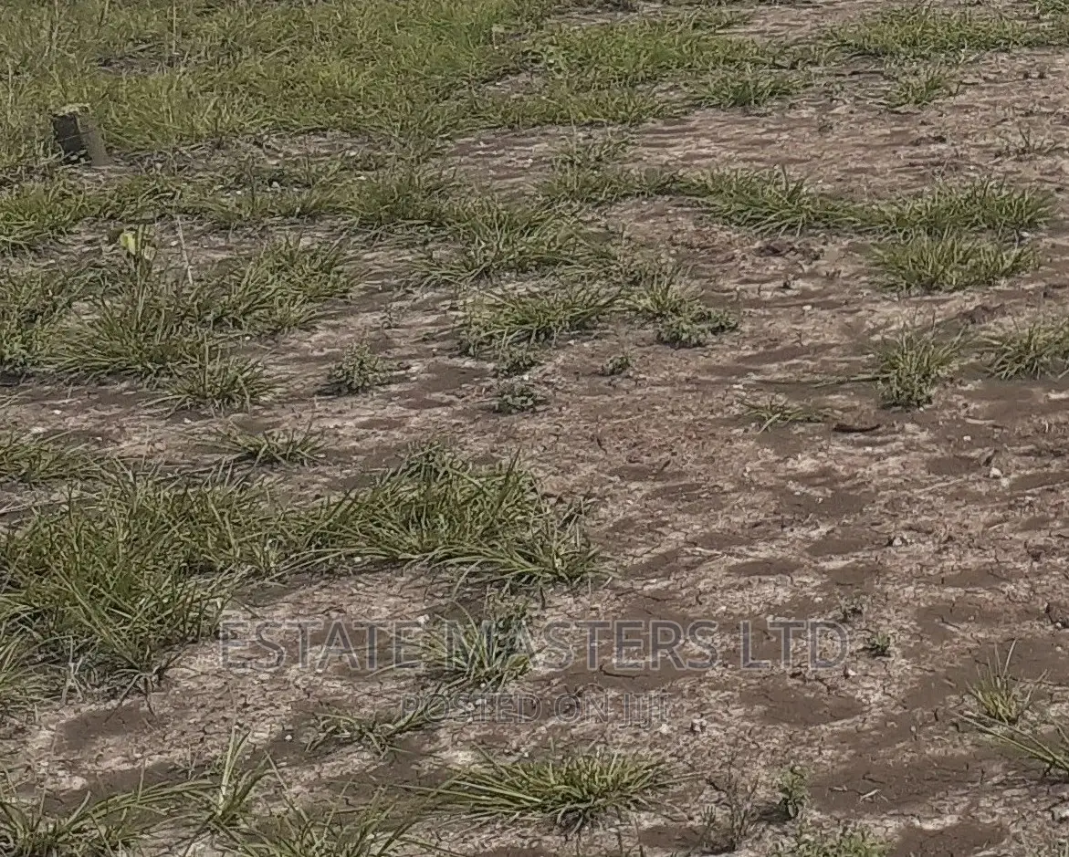 Flat Unique Serviced Plots