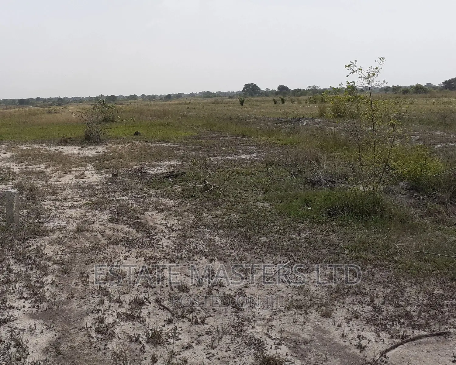 Invest in Litigation Free Land