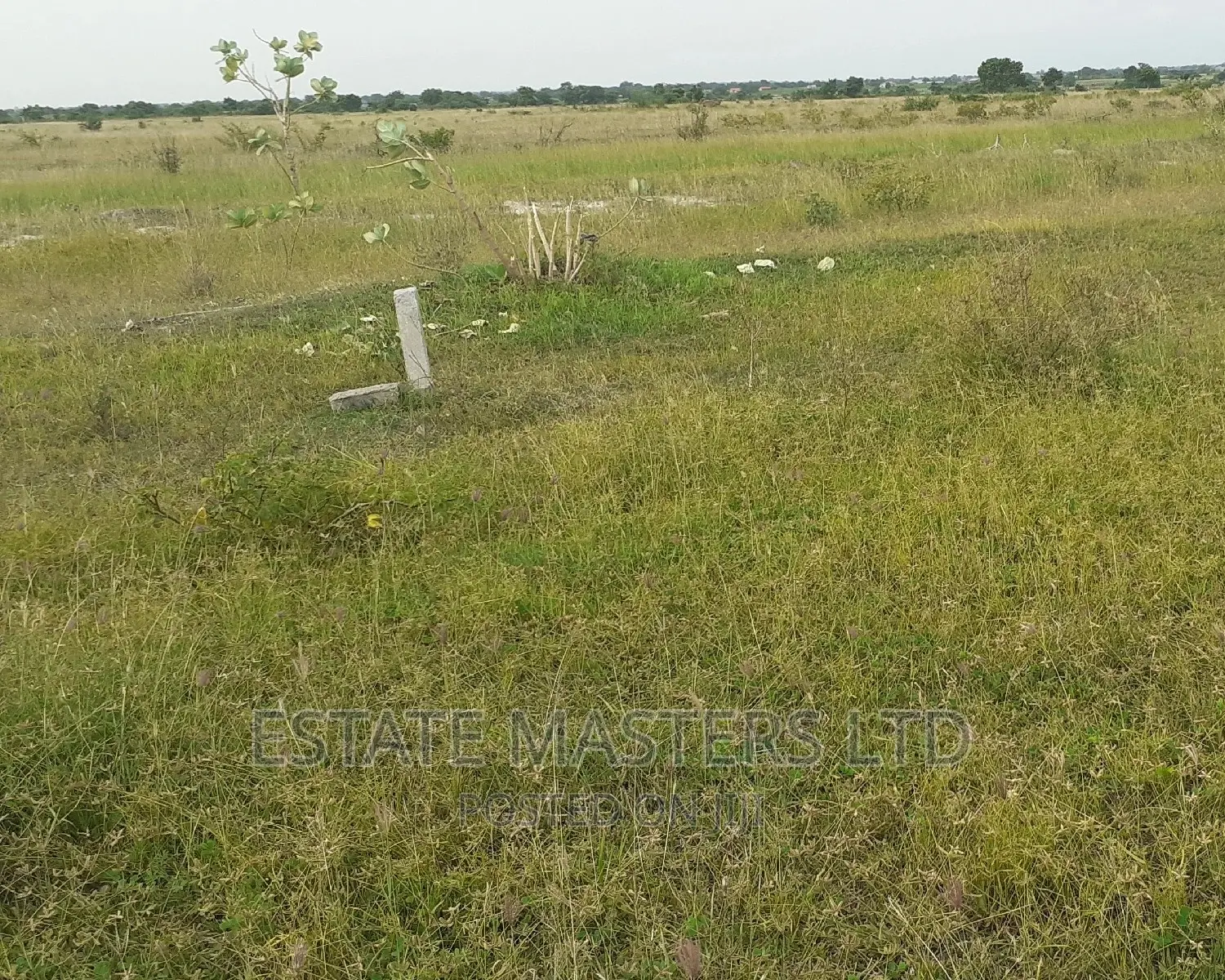 Estate Plot Sales