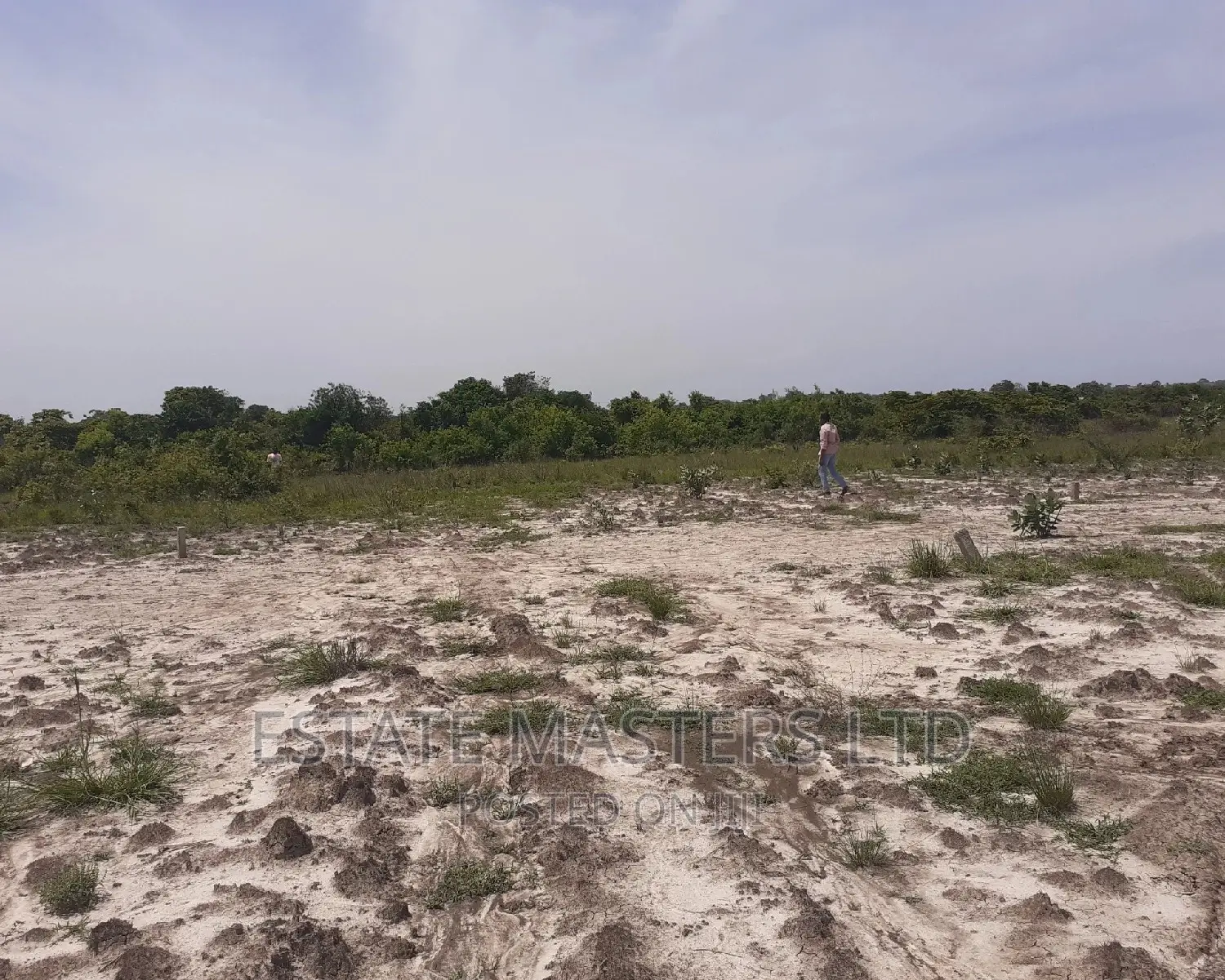 Residential Serviced Plot