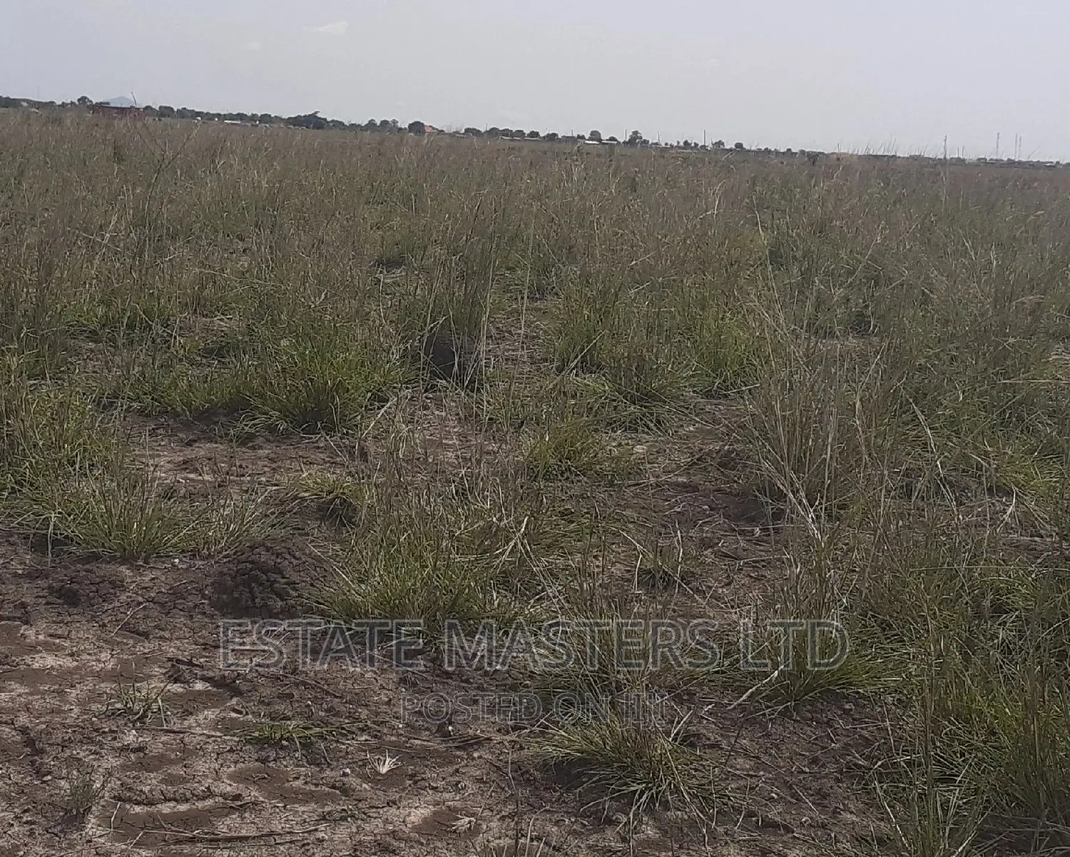 Residential Serviced Plot