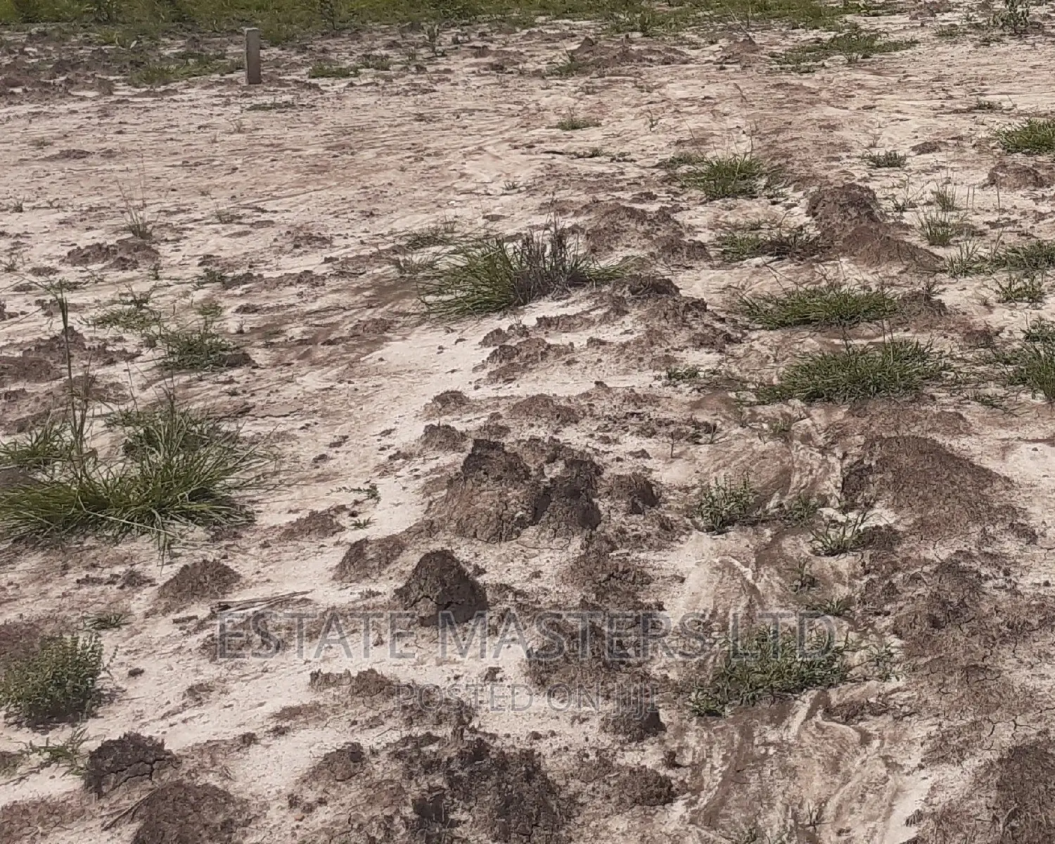 Serviced and Demarcated Gated Plot