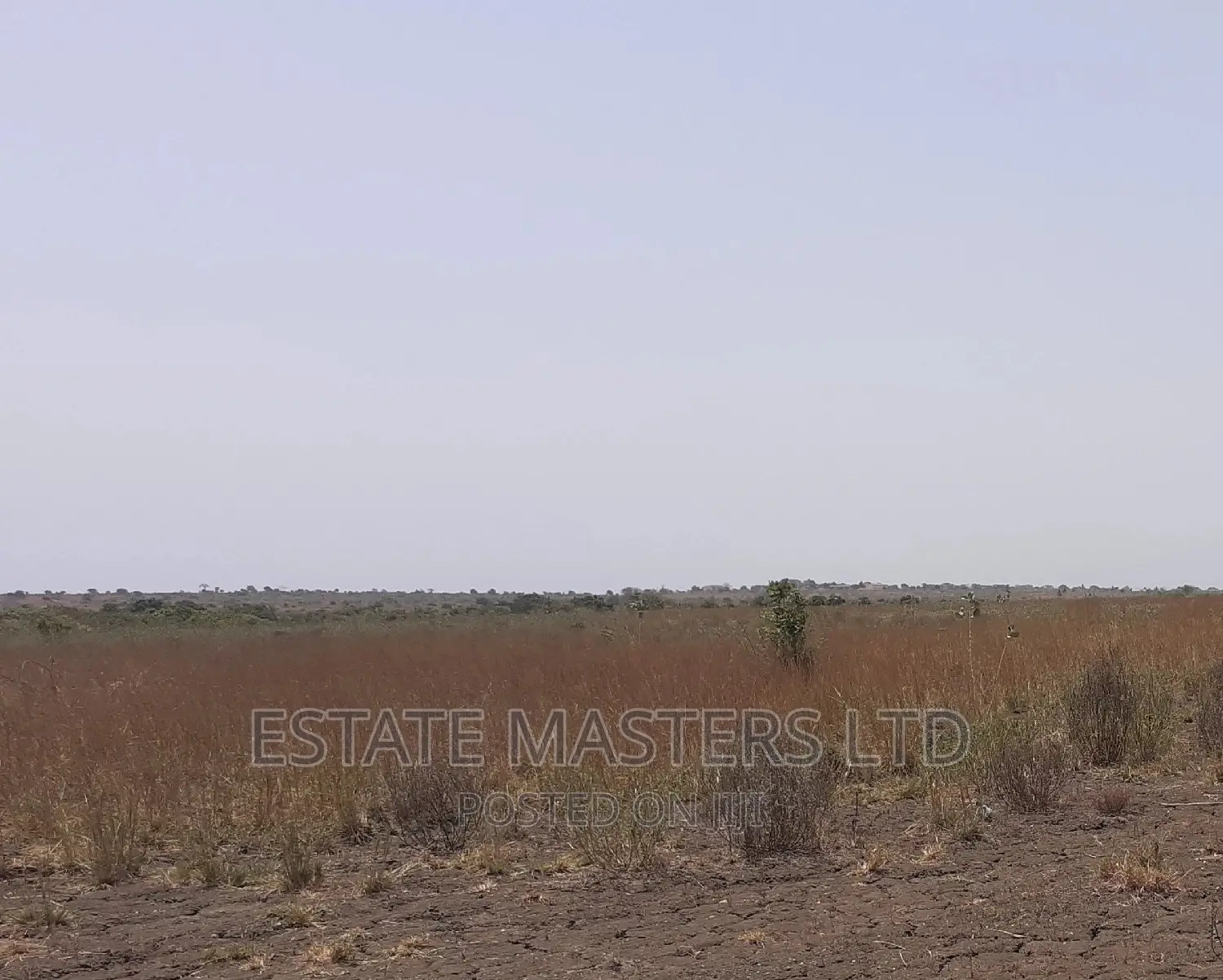 Genuine Sale of Land