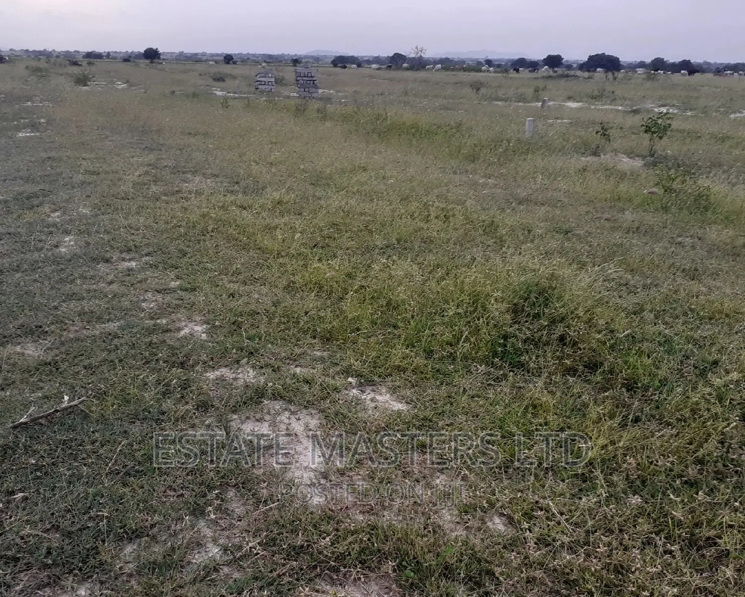 Good Geographical Area Land