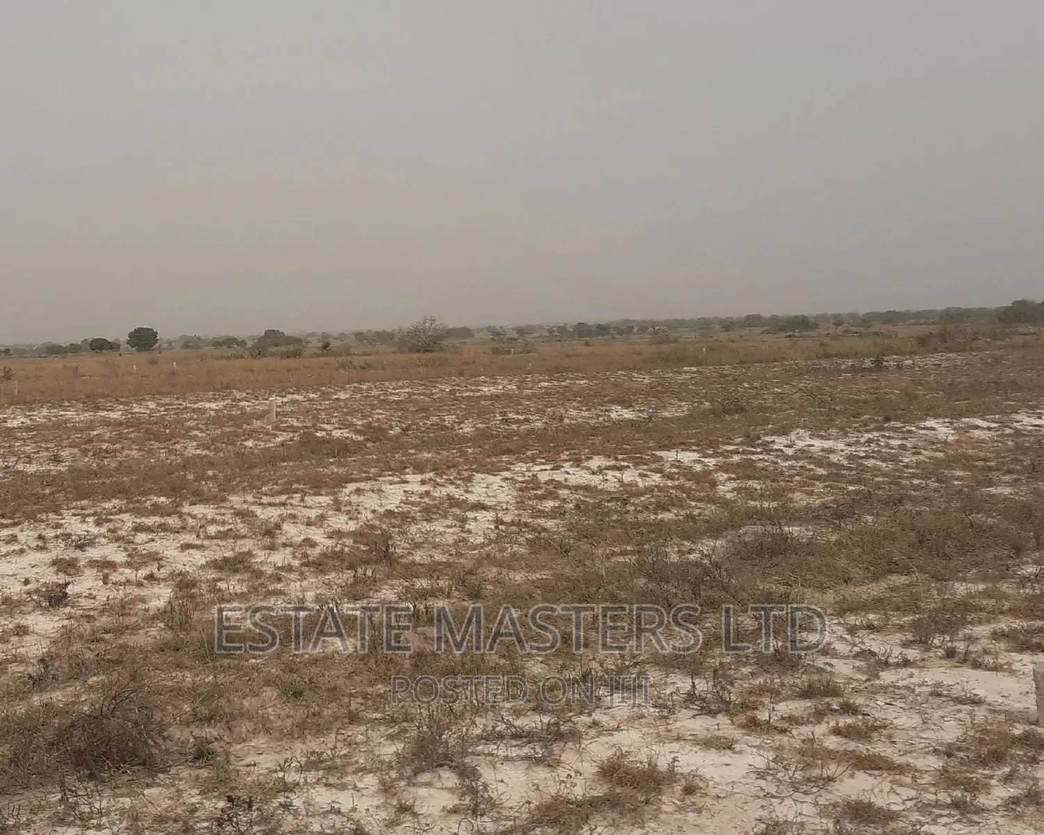 Titled Land Guards Free Land