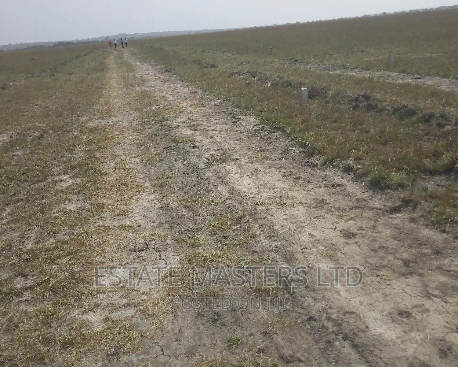Plots 4 Sale