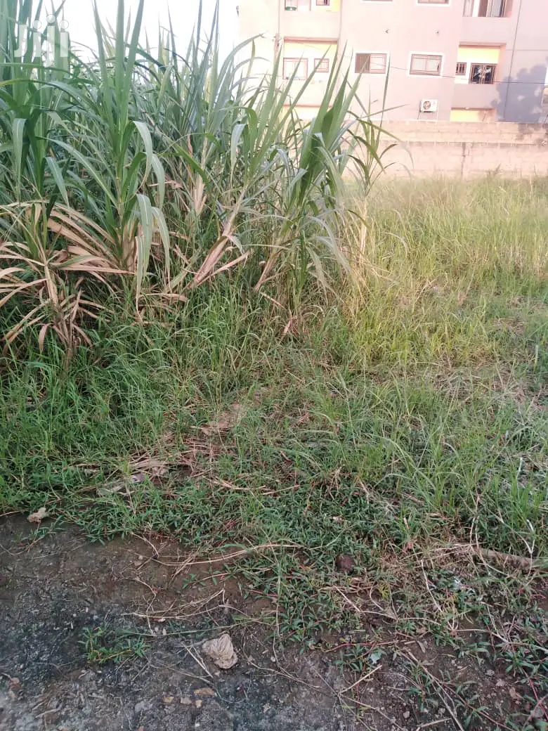 Neat Land at Pillar 2 for Sale at 350,000 Is Nigotable