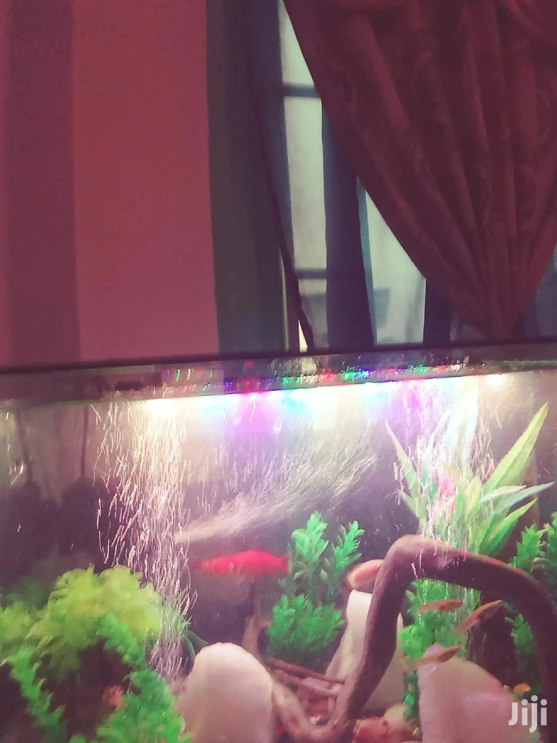 Aquarium Complete Setup