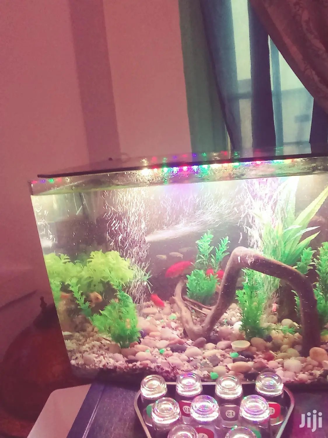 Aquarium Complete Setup