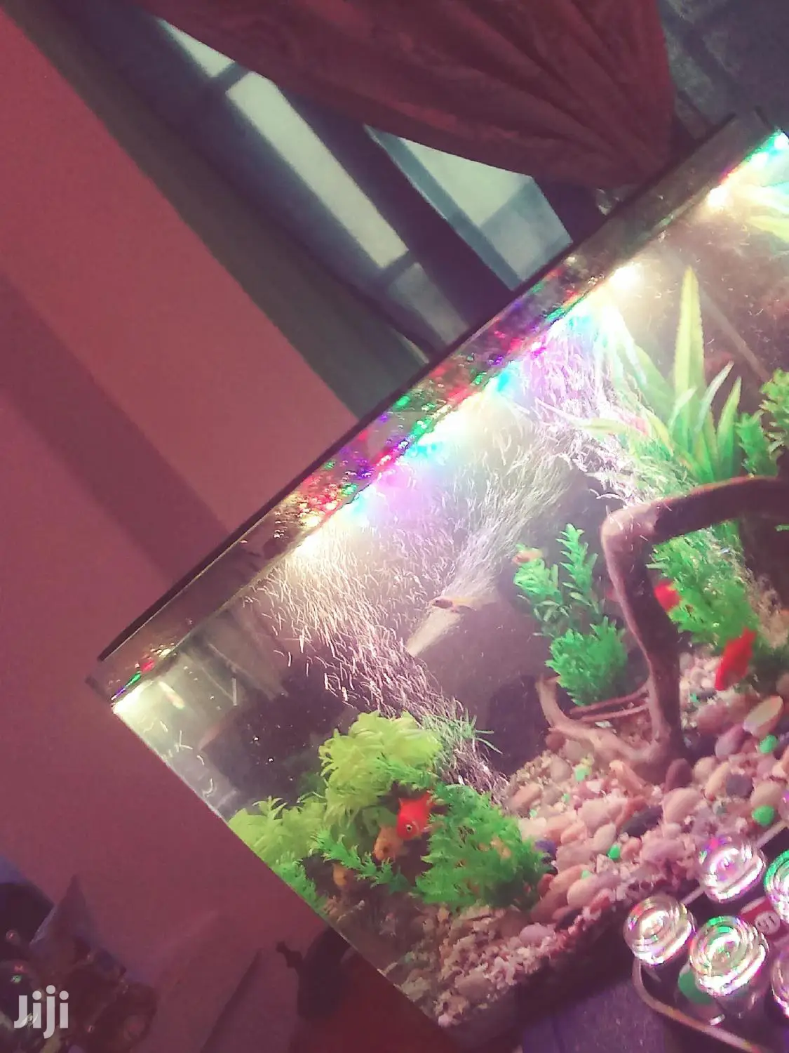 Aquarium Complete Setup