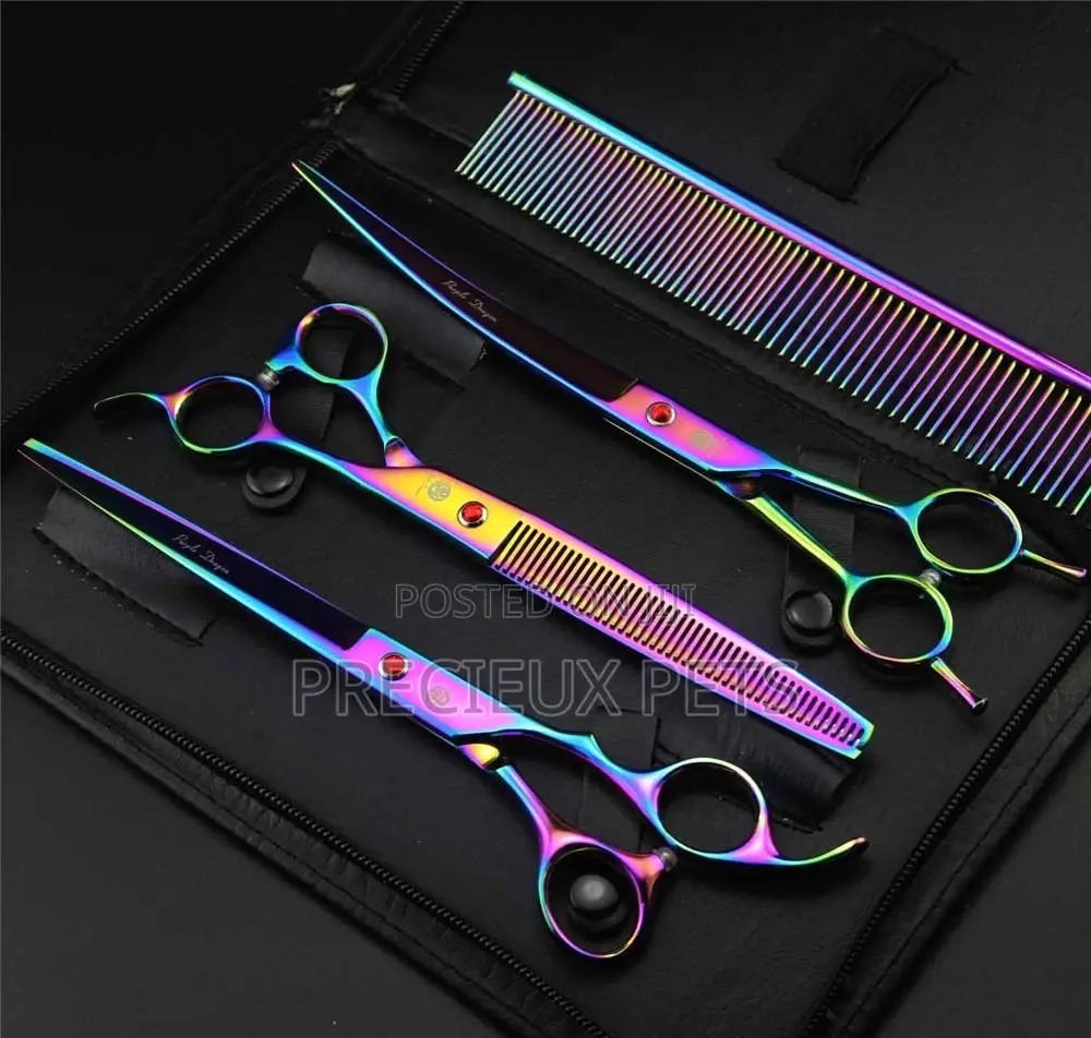 Grooming Appointment For Toy Dogs