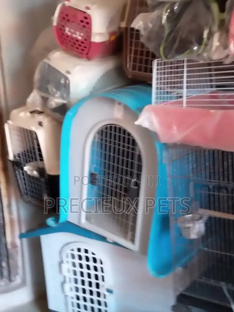 Plastic Crate For Puppies And Toy Dogs
