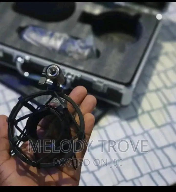 Studio Condenser Microphone
