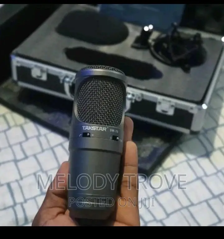 Studio Condenser Microphone