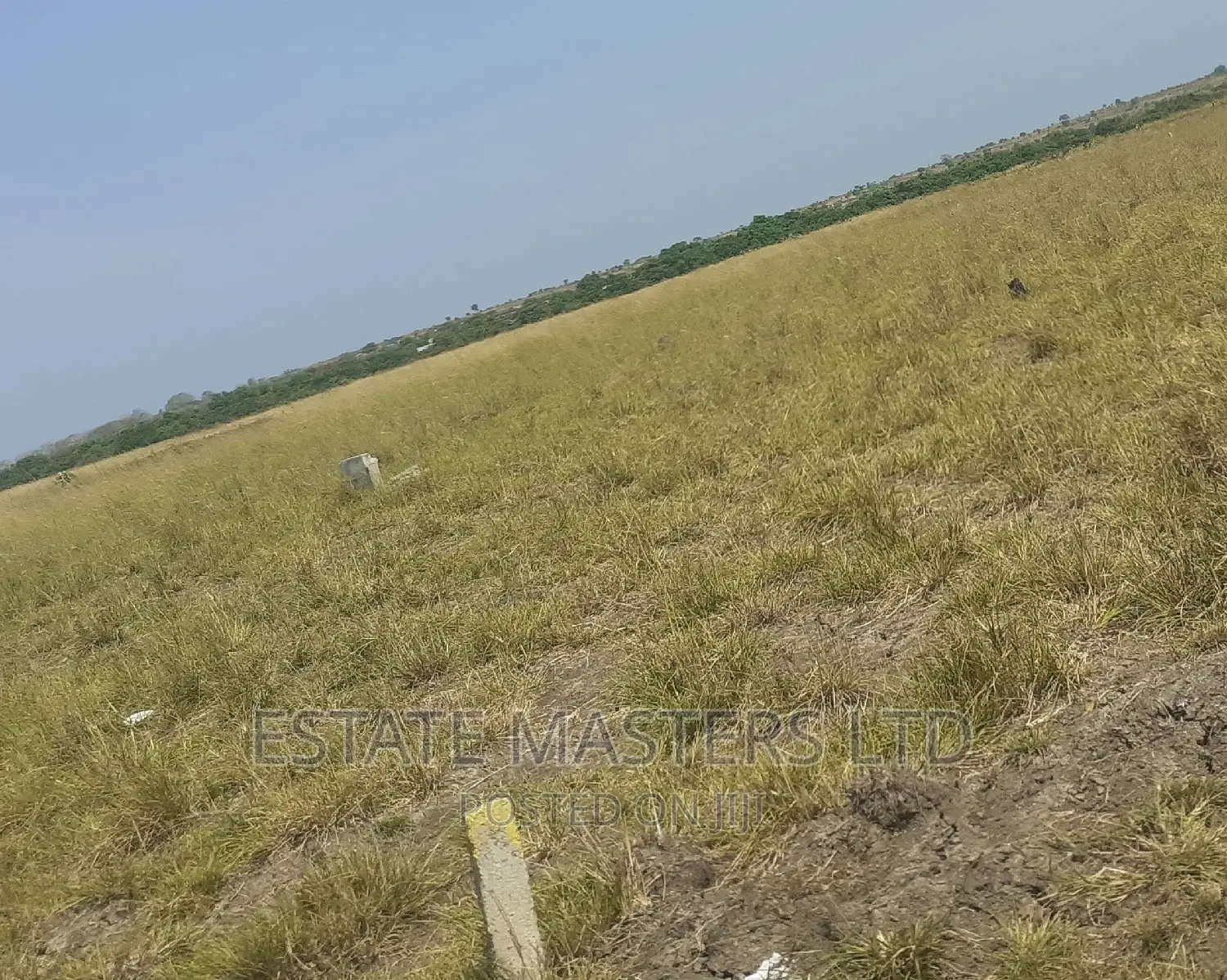 Special Plot Offers