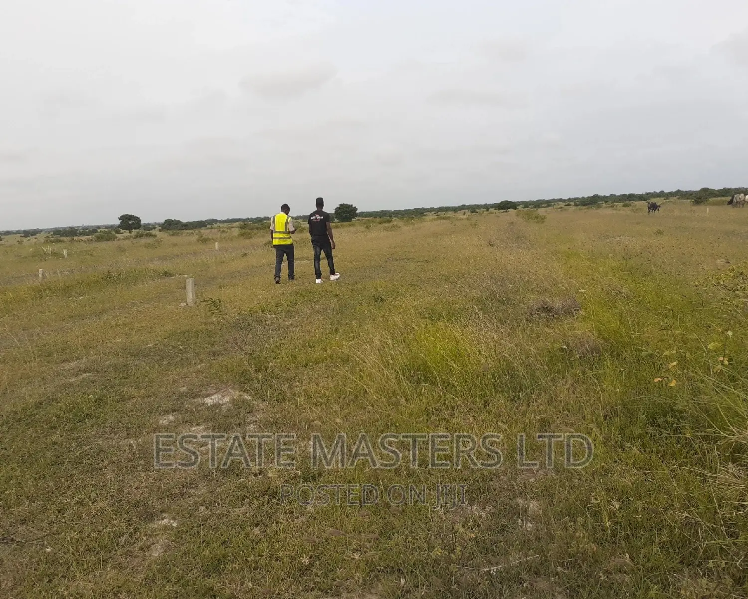 Invest In Good Area Plot