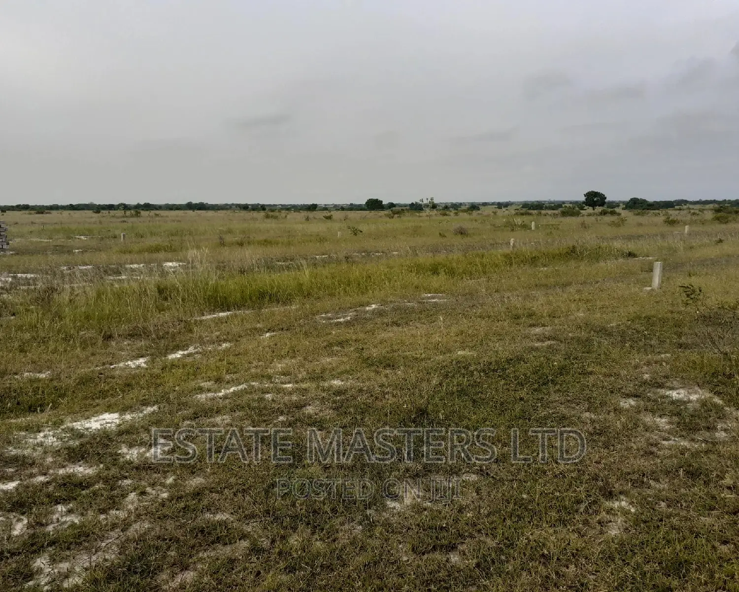 Invest In Good Area Plot