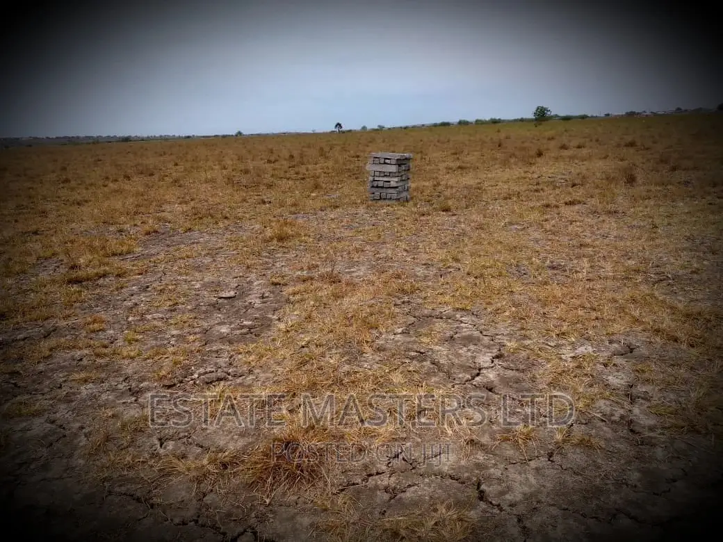 Water Logged Free Land