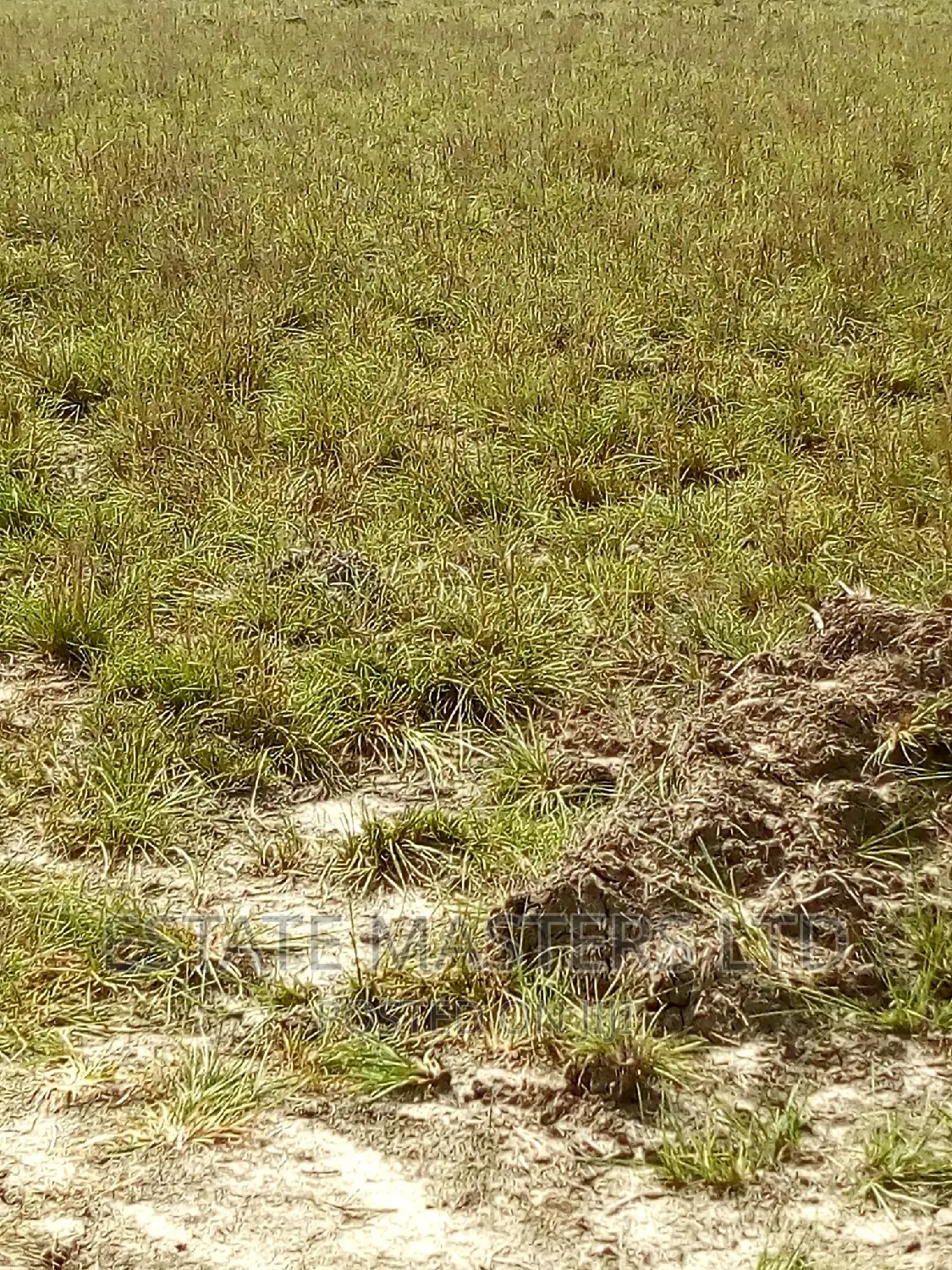 Water Logged Free Land