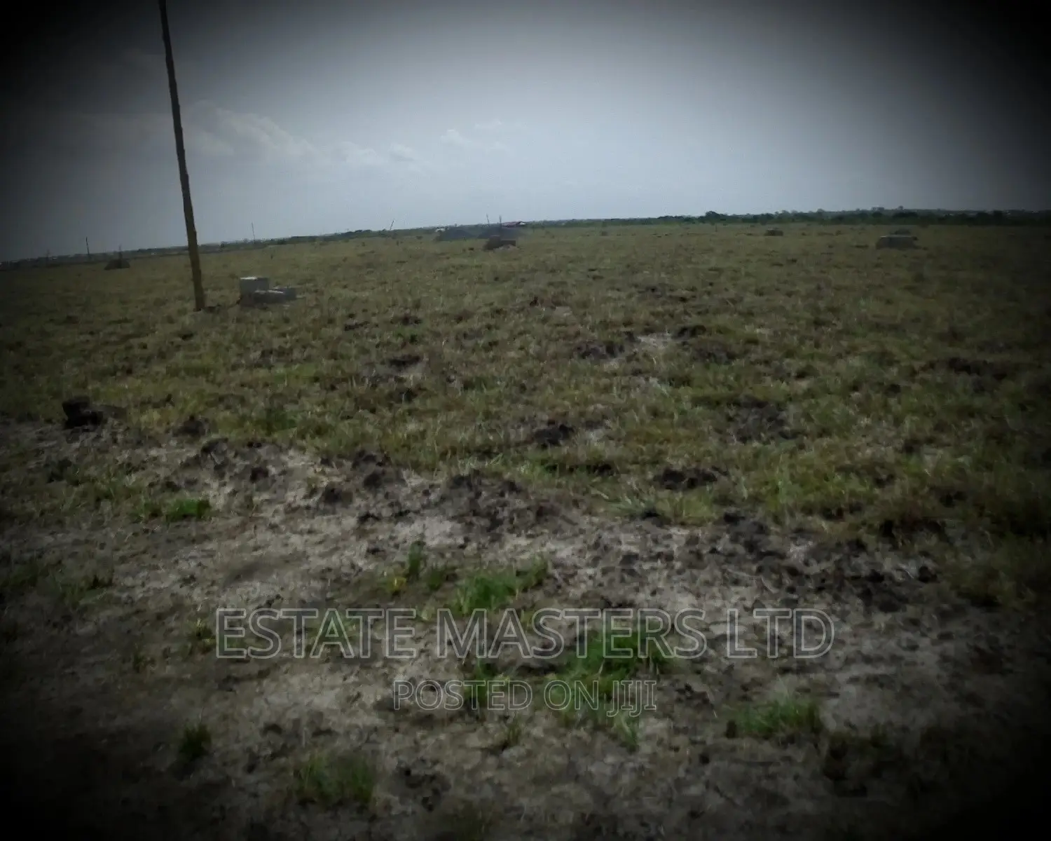 Water Logged Free Land