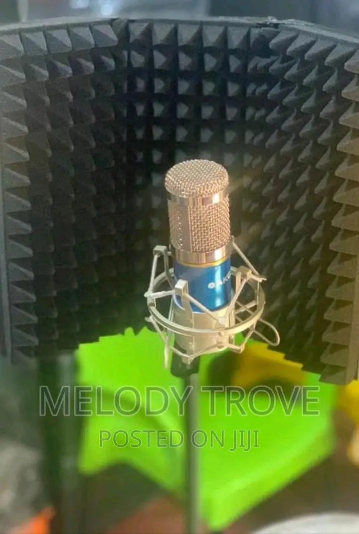 Studio Microphone Shield